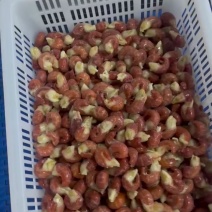 大次品虾尾130粒40冰衣