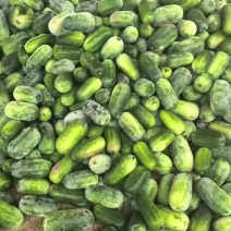 水果冬瓜