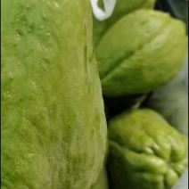 佛手瓜