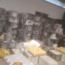 山西平遥酥梨大量出货