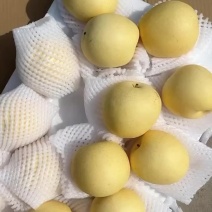 42托盘皇冠梨，大量有货