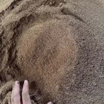 核桃粉育肥快香味重适口性强喂牛羊鸡鸭鹅都可以