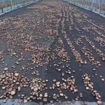 香菇干