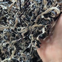 木耳丝出口级木耳丝白背毛木耳丝毛木耳