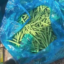 精品刀豆