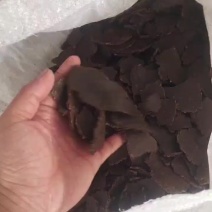 核桃仁油饼