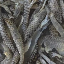 夏季凉拌**
