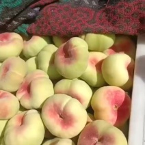 潘桃成熟了，色泽鲜艳，口感水甜，欢迎选购