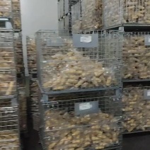 真空包装全品类鲜食玉米降价处理，毛毛钱，软糯香甜，源头