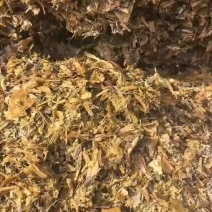 全株青储，有检测化验报告，质量有保证。