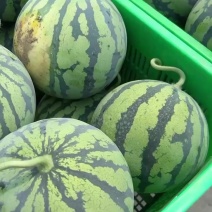 西瓜