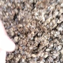 豆瓣，黄豆酱，酱油豆