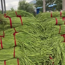 徐州精品豆角现货速发质量保证价格实惠欢迎来电咨询