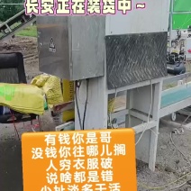 发酵羊粪