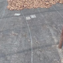 香菇干货