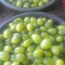 青甜小番茄