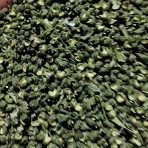 江津青花椒