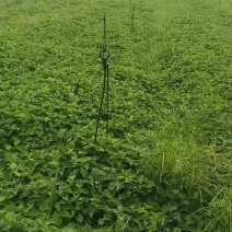 惠东新货上来了