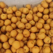 果汁梨