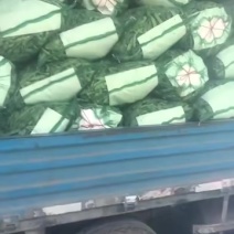 油豆