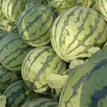无籽美都，麒麟大量有货，要的联系
