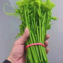 精品货