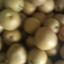 建宁黄花梨
