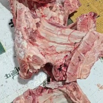 去颈前排，母猪新货
