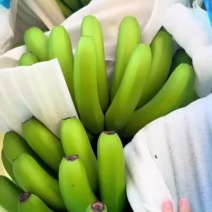 云南生态香蕉
