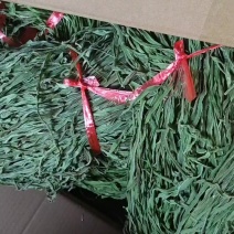 场地直发，云南大理弥渡高山贡菜，长期供货，