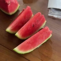辽宁产区小糖丸大量现货