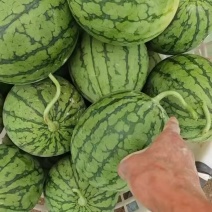 口口脆