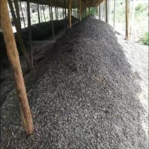 纯羊粪
