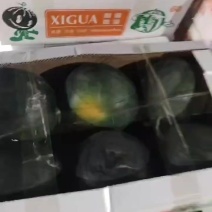 墨瞳西瓜大量上市