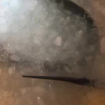 良鱼来一波