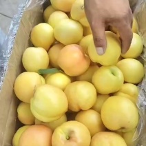 黄油桃