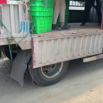 水果，西瓜