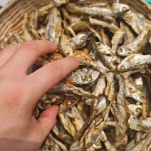 白条鱼，游鱼子，火焙，米糠烟熏，全干
