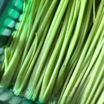 香芹净菜