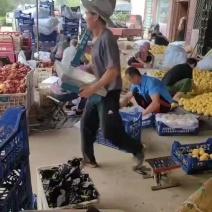蒙阴金香大黄桃新鲜黄桃有地理标志授权大量上市