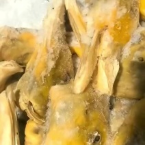 出售带舌填鸭头2吨