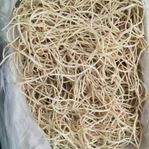 鱼腥草