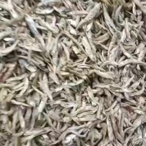 火焙公鱼，无盐不苦的，想了解的老板联系我13973672