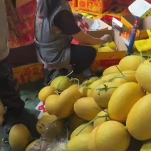 哈蜜瓜价格哈蜜瓜产地