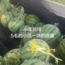陆地小精品排队装车中