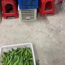 大家好今天是6月9号开始精挑细选过程中，分享给大家看看