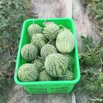 口口脆