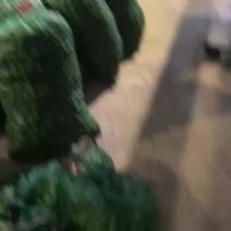 卖青梅果
