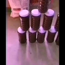 陕西土蜂蜜