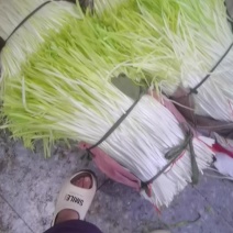 云南产地直销